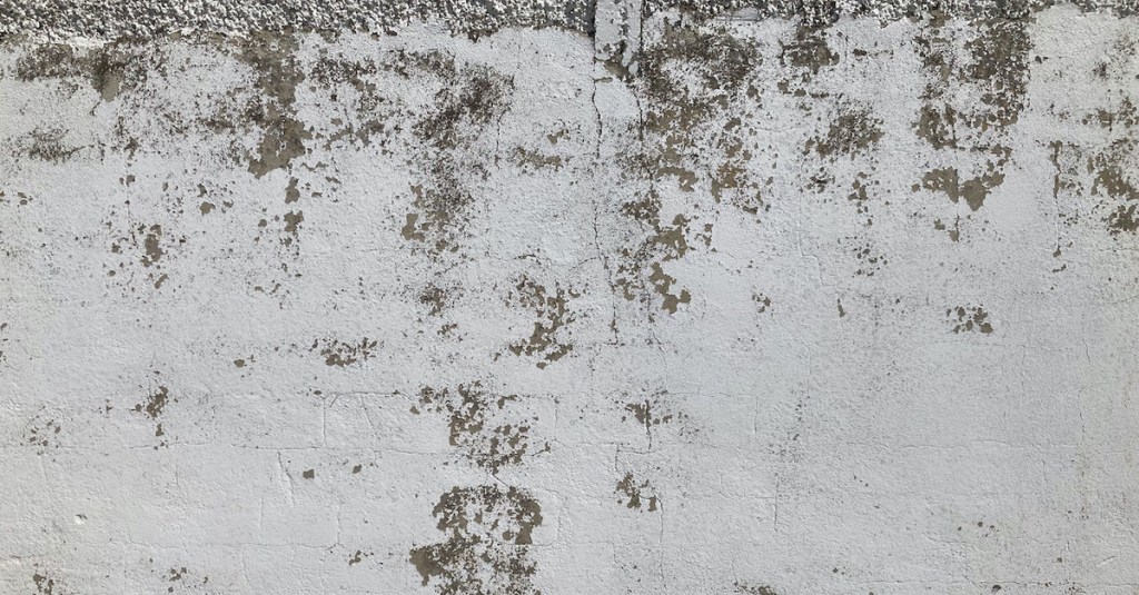 Process / Inspiration