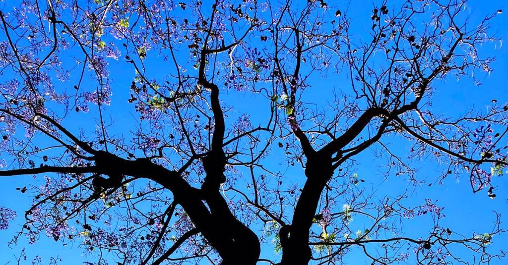 Process / Inspiration