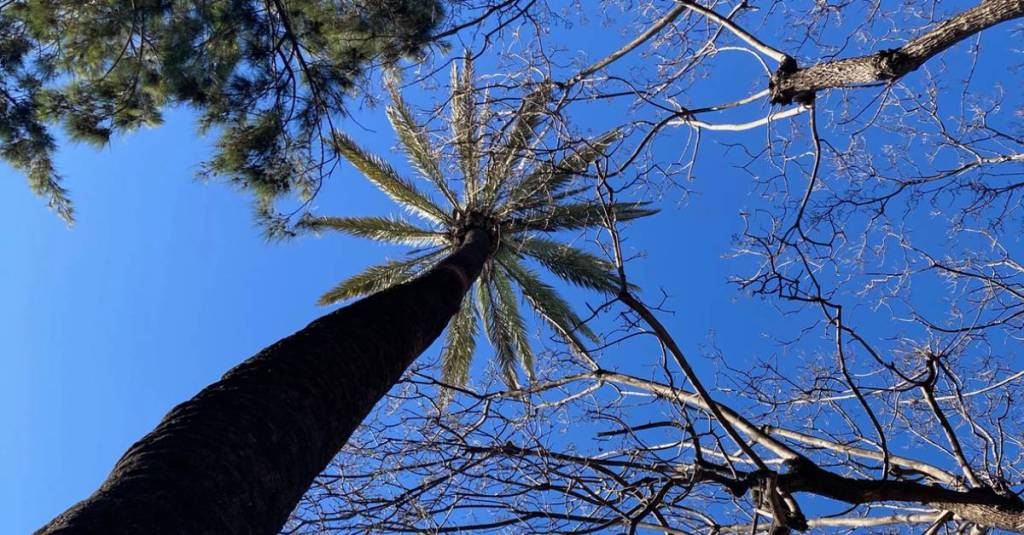 Process / Inspiration – Plaza de&nbsp;Mina