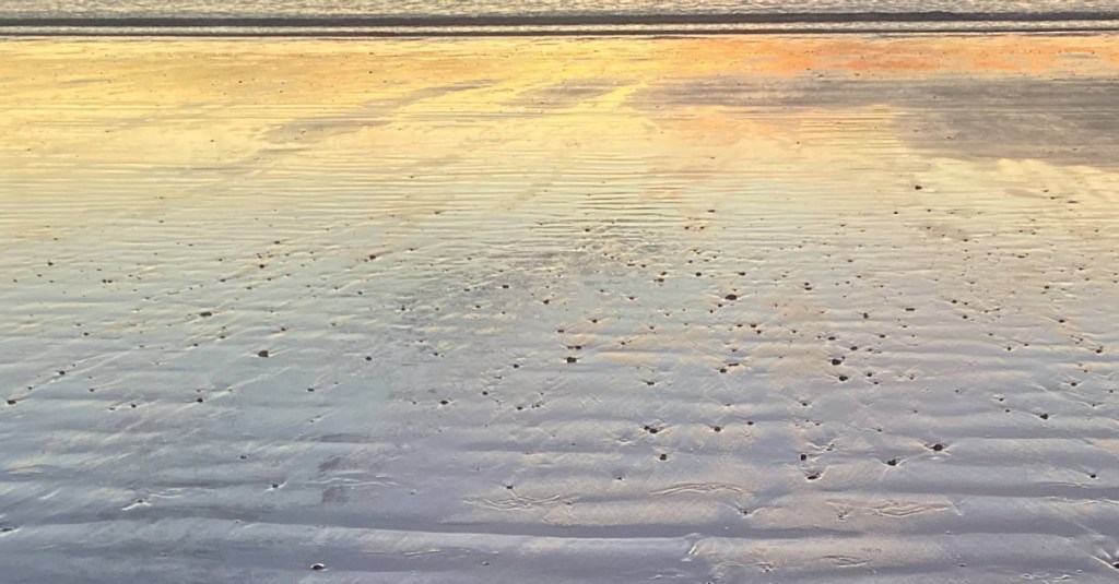 Process / Inspiration – In the&nbsp;Field