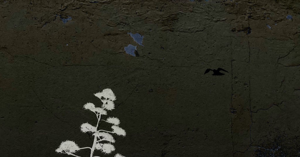 Product Update — The&nbsp;Hawk