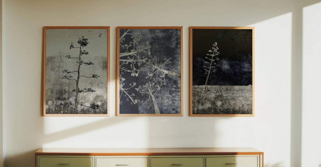 Artwork Highlight – Century Plant&nbsp;Studies