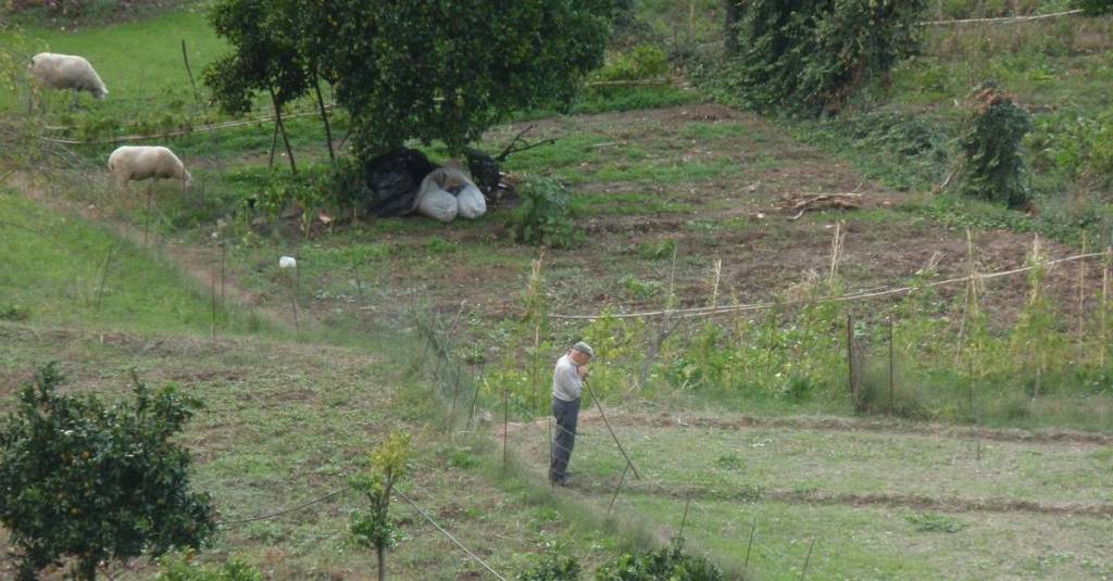 The Turning Ground #16